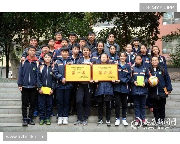 武汉排球队在全国排球团队协作排行榜中荣获第七名的佳绩分析