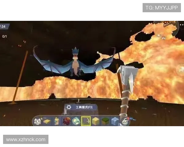 专访杨秀英：探寻她在网球领域取得成功的秘诀与心路历程